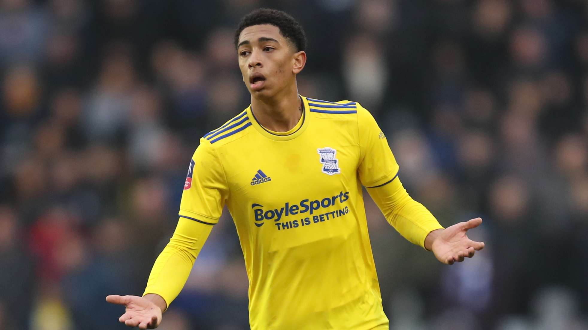 是不争的事 是不争的事