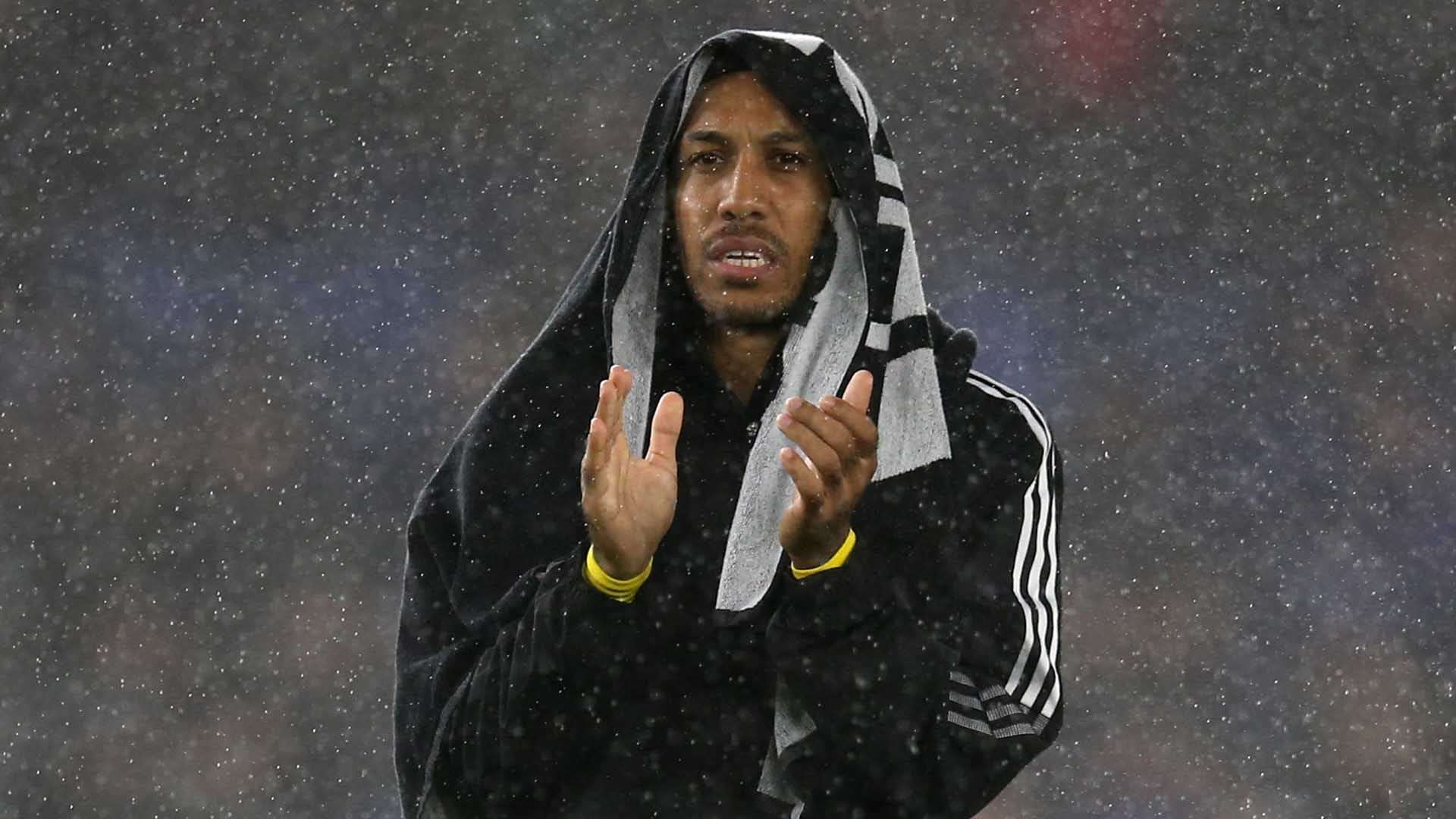 兰对未来几 兰对未来几