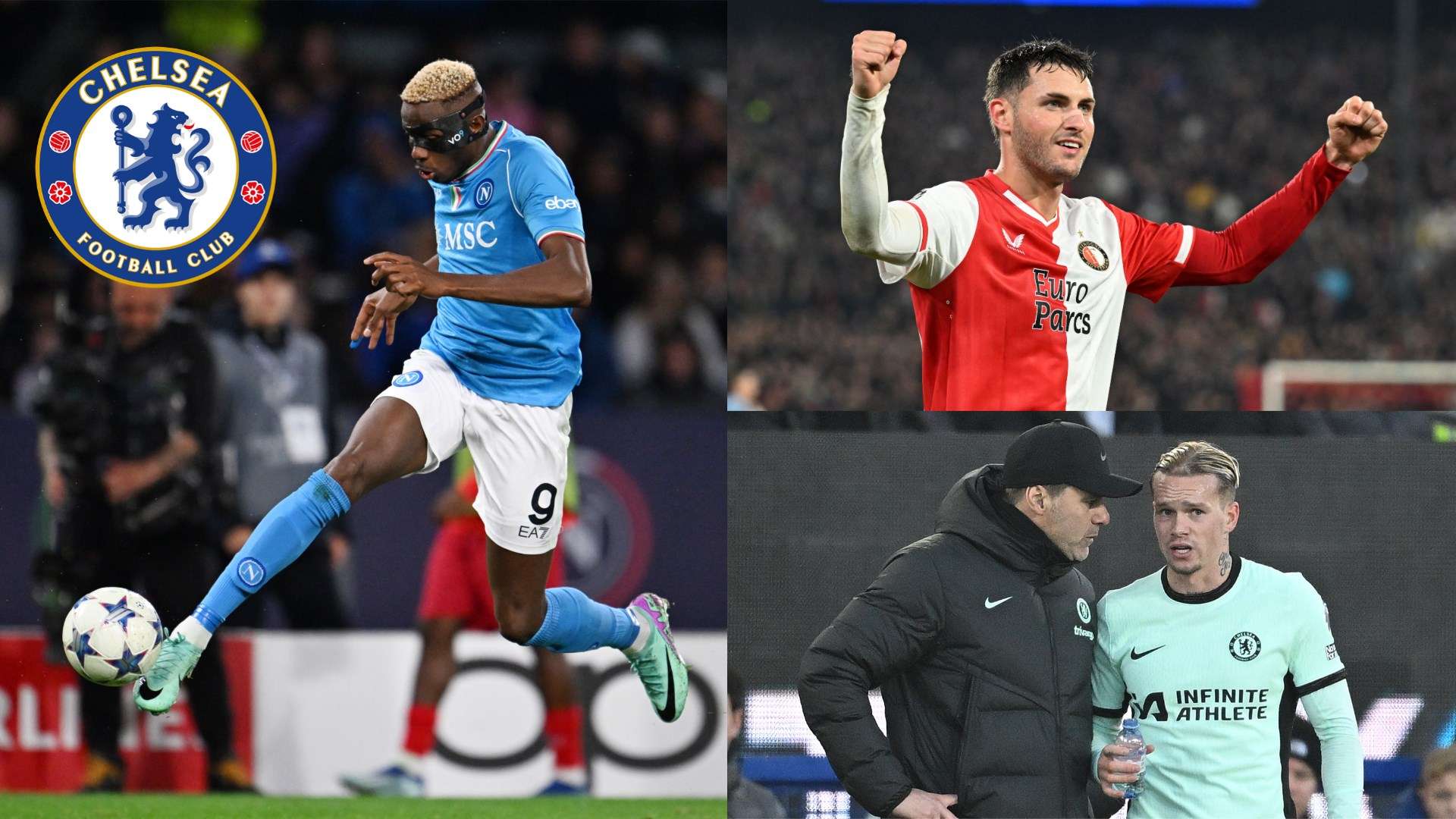 球迷和评论 球迷和评论