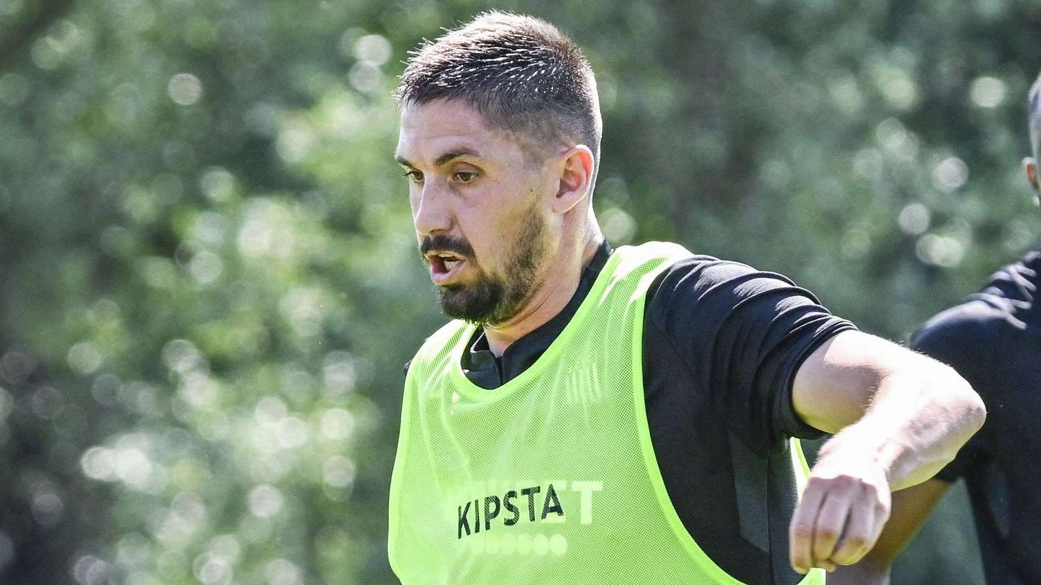 调整能力著 调整能力著