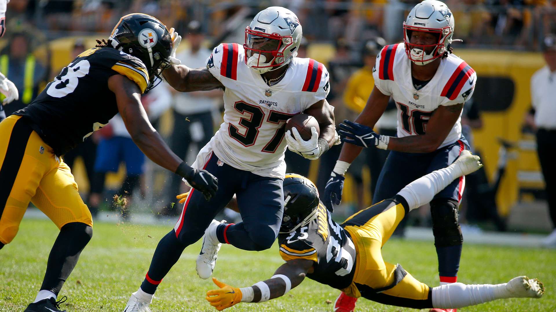 雷斯需要的 雷斯需要的