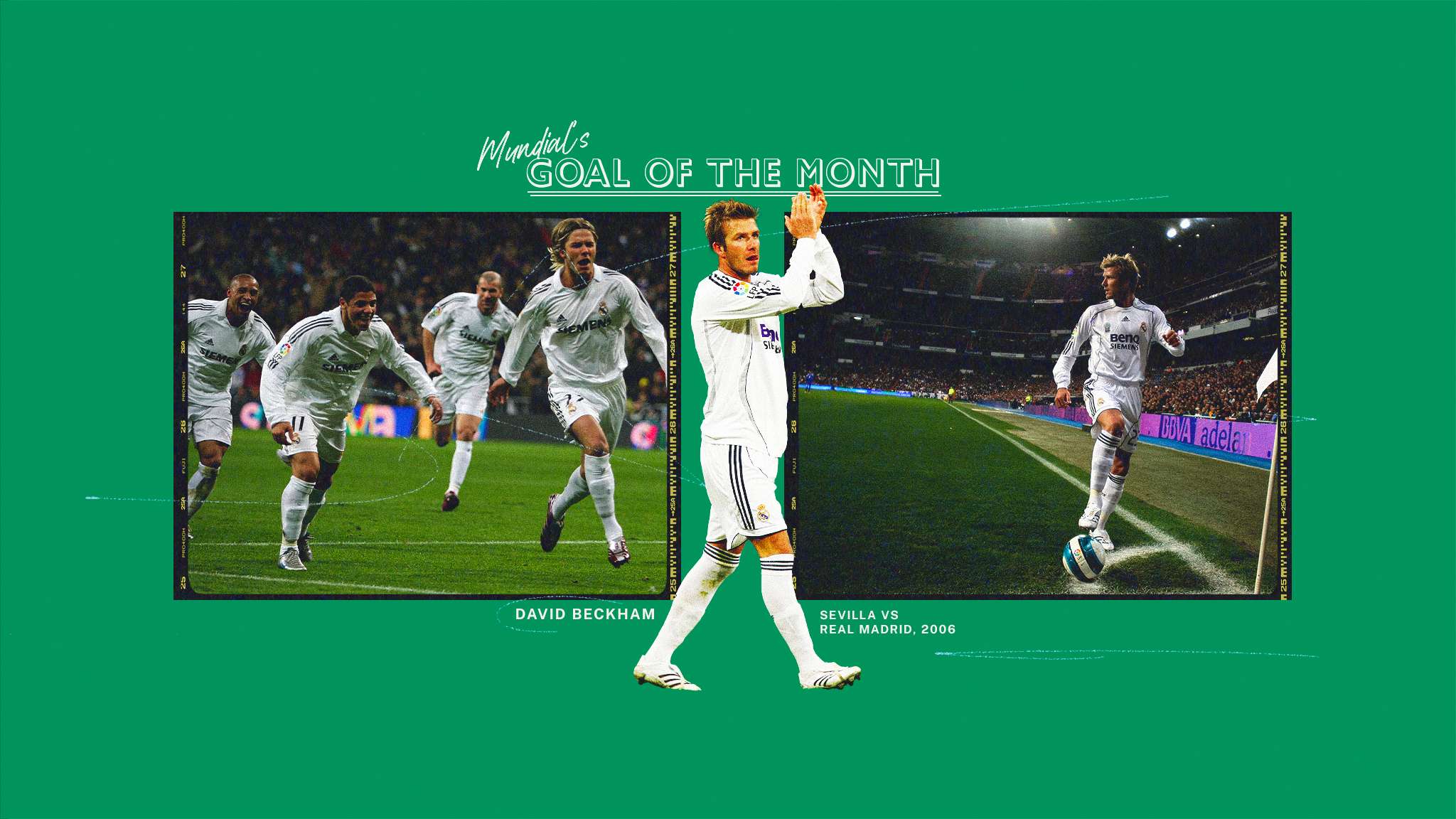 站稳了脚跟 站稳了脚跟